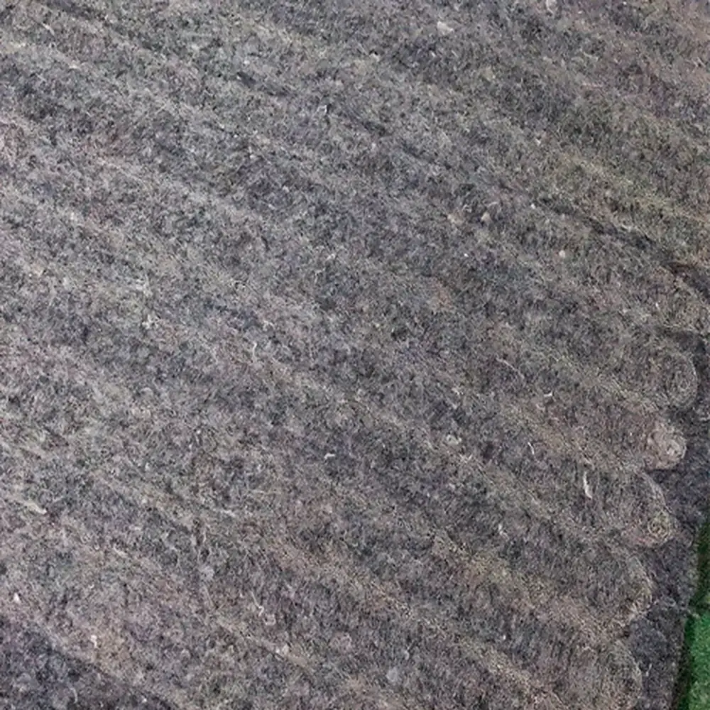 application-5_2026jul25.webp?v=202607260400